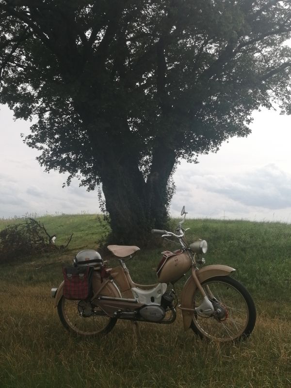 Angefgtes Bild