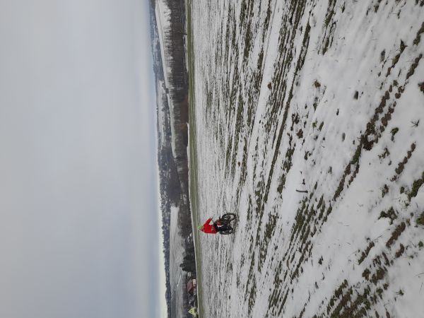 Angefgtes Bild