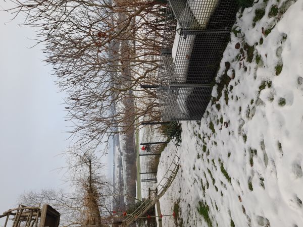Angefgtes Bild