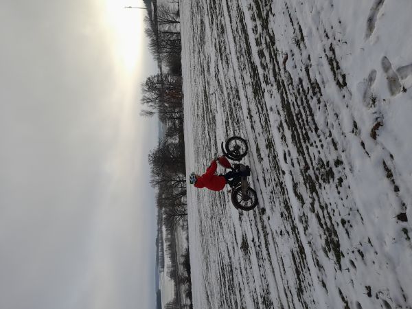 Angefgtes Bild