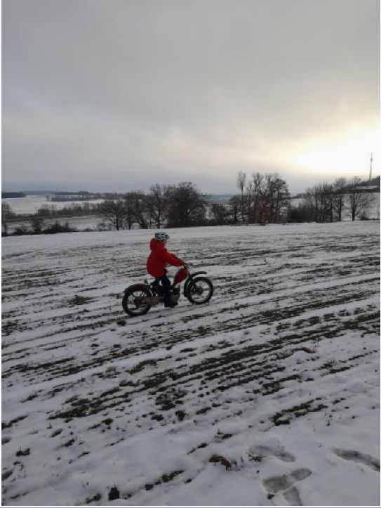 Angefgtes Bild