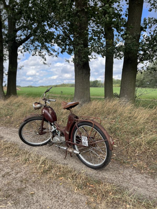 Angef�gtes Bild