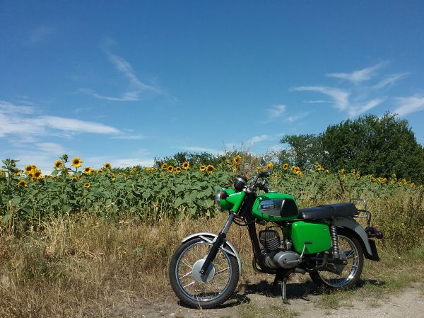 Angefügtes Bild