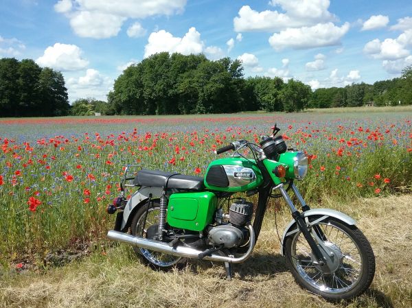 Angef�gtes Bild