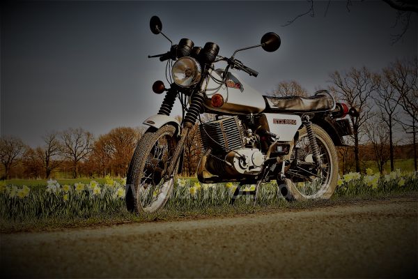 Angefgtes Bild