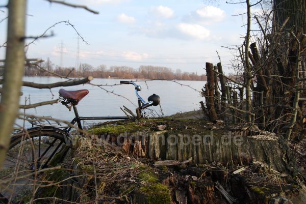Angefügtes Bild