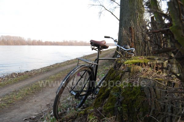 Angefgtes Bild