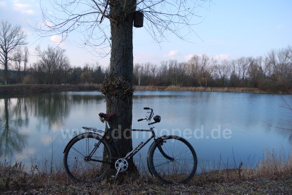 Angefgtes Bild
