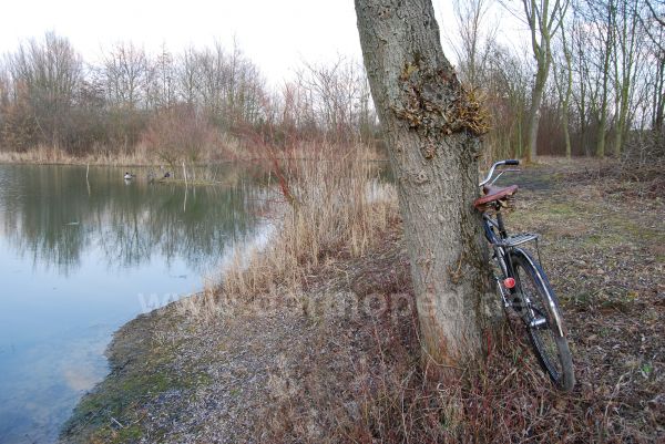 Angefügtes Bild