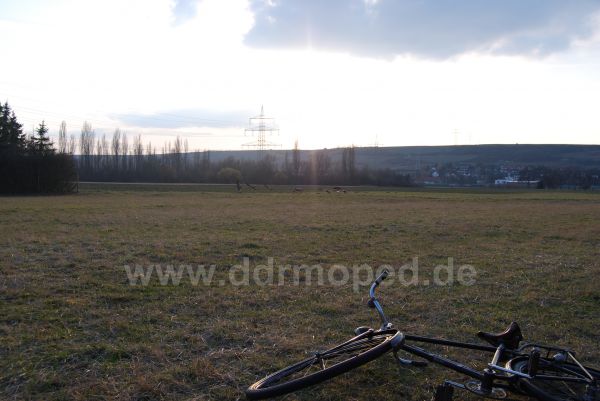 Angefgtes Bild