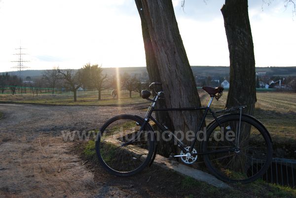 Angefgtes Bild
