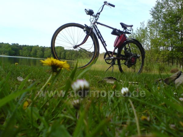 Angefgtes Bild
