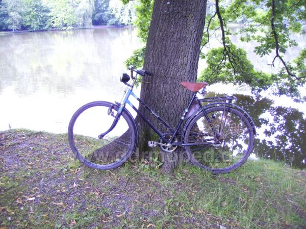 Angefgtes Bild