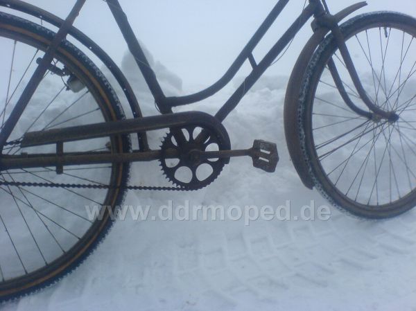 Angefgtes Bild