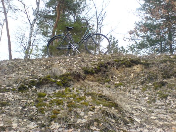 Angefgtes Bild