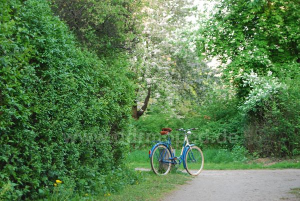 Angefügtes Bild