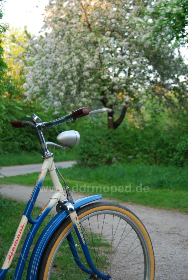 Angefgtes Bild