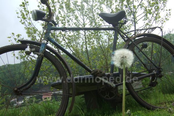 Angefgtes Bild