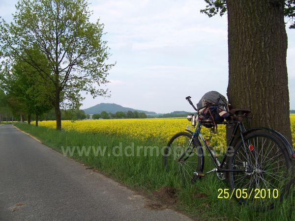 Angefgtes Bild