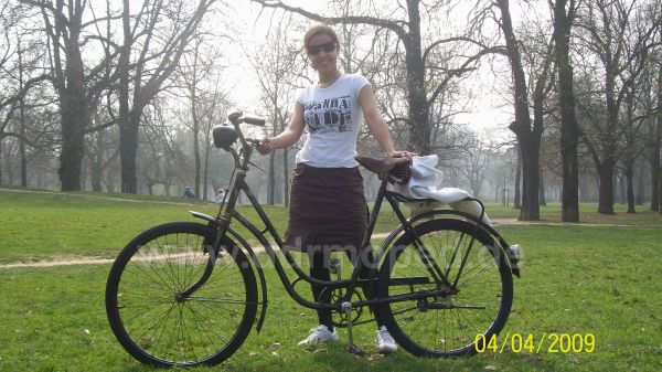 Angefgtes Bild
