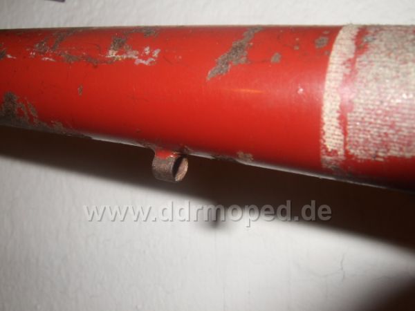 Angefgtes Bild