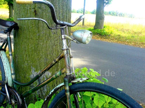 Angefgtes Bild