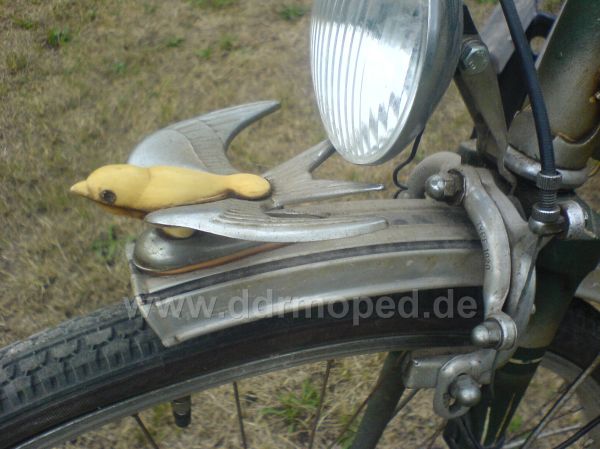 Angefgtes Bild