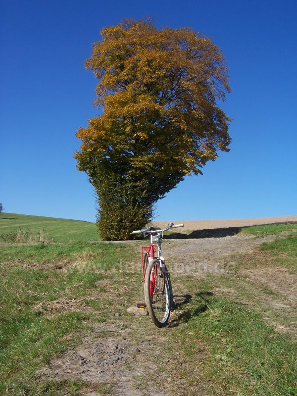 Angefgtes Bild