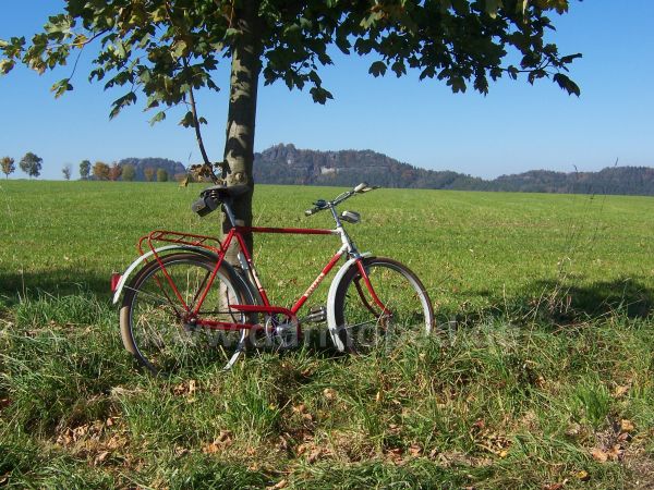 Angefgtes Bild