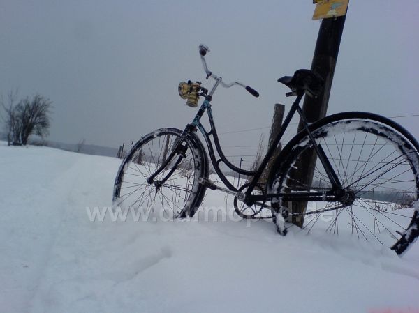Angefügtes Bild