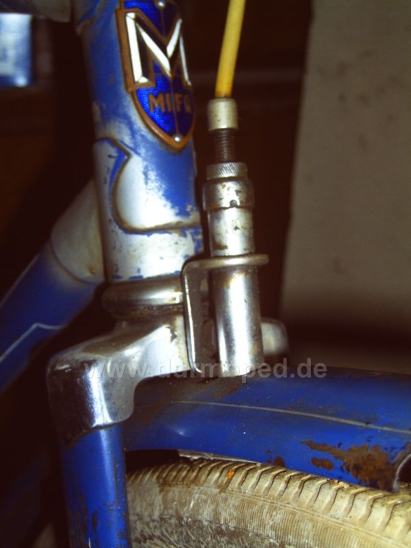 Angef�gtes Bild