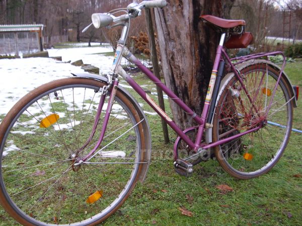 Angef�gtes Bild