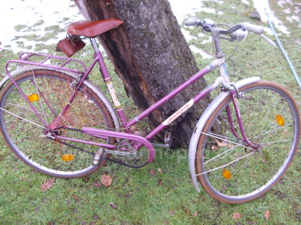Angef�gtes Bild