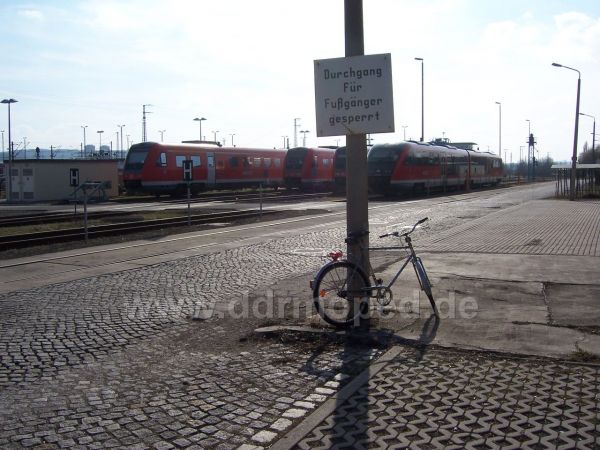 Angefgtes Bild