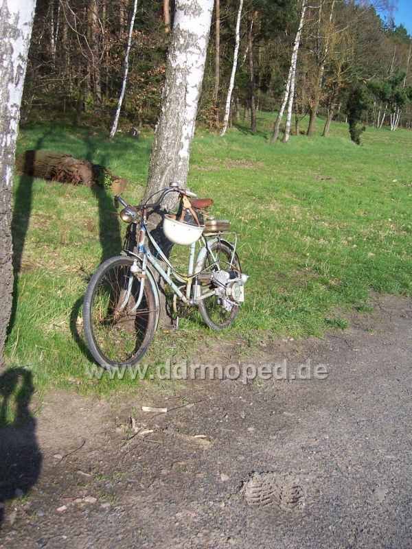 Angefügtes Bild
