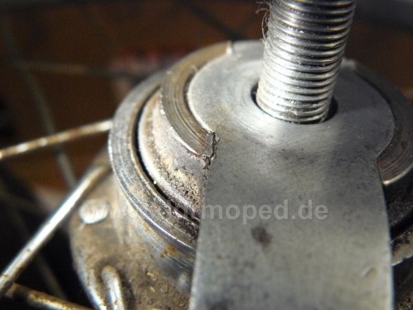 Angefgtes Bild