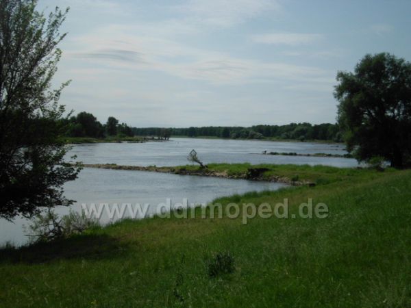 Angefgtes Bild