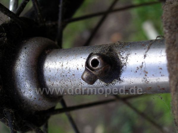 Angefgtes Bild