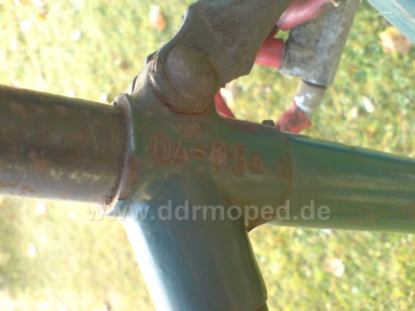 Angefgtes Bild