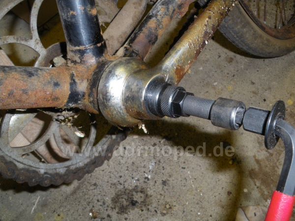 Angefügtes Bild