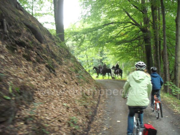 Angefügtes Bild