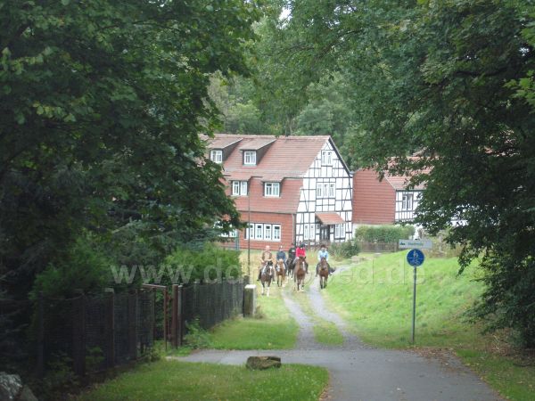 Angefügtes Bild