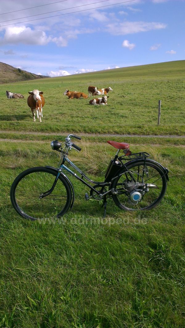 Angefgtes Bild