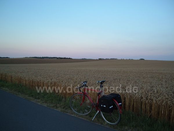 Angefügtes Bild