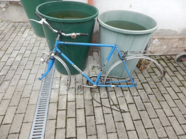 Angefgtes Bild