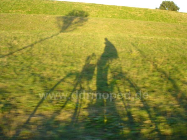 Angefgtes Bild