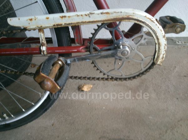 Angefgtes Bild