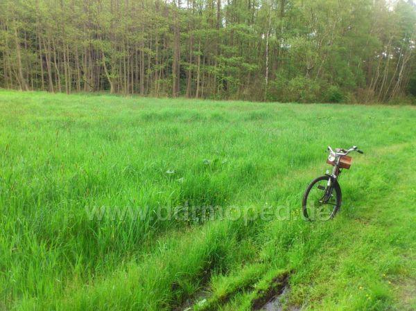 Angefgtes Bild