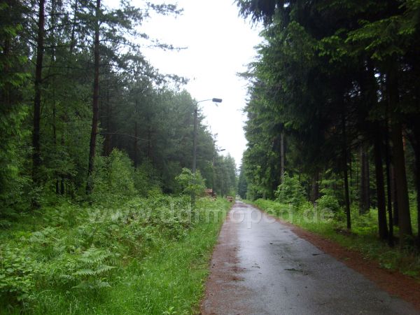 Angefügtes Bild