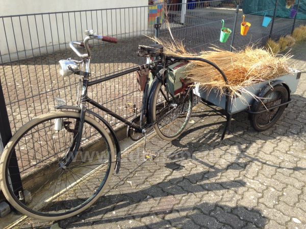 Angefügtes Bild